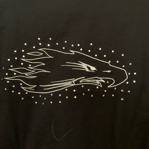 Harley Davidson screamin eagle top